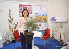 Julie Renault of Pepinieres Renault, a French company established in 1951. Julie is 4th generation. They produce a large range of shrubs, from cuttings to finished plants in pots. They sell lot in France but also export in Europe and around the world. With their Paniculata, they changed the way people think about this variety. Now they have a large range, each bringing new characteristics to the market. New this year is this eucalyptus, a dwarf with maximum height of 3 meters. “The leaves are very small.” At the IPM Essen, they also presented hydrangea Metallica, a new variety with big flowers that turn from green-pink to orange.